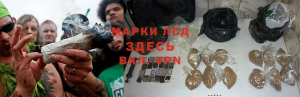 марки nbome Бородино