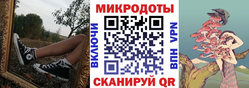 Псилоцибиновые грибы Psilocybine cubensis Динская